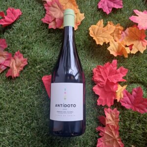 Bodegas Antidoto Ribera del Duero